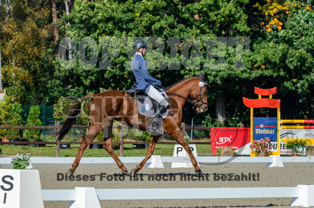 Deutsche Meisterschaft Vielseitigkeit (Luhmühlen)