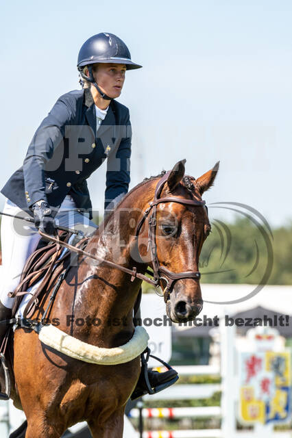 Kronenberg - De Peelbergen (August 2020)