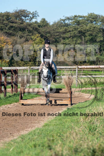 Vielseitigkeitslehrgang mit Jürg Kurbel (9.+10.11.2019)