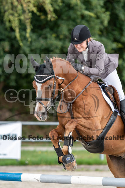 Late-Entry-Vielseitigkeit Langenfeld (06.+07.07.2020)