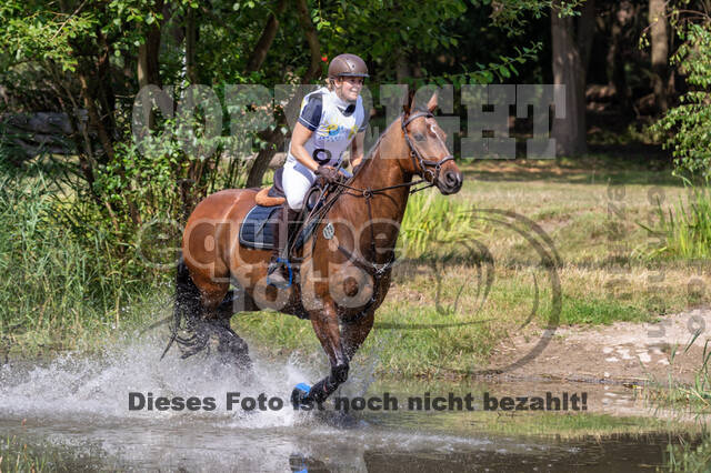 Late-Entry Vielseitigkeit Hamminkeln/Wesel (01.+02.08.2020)