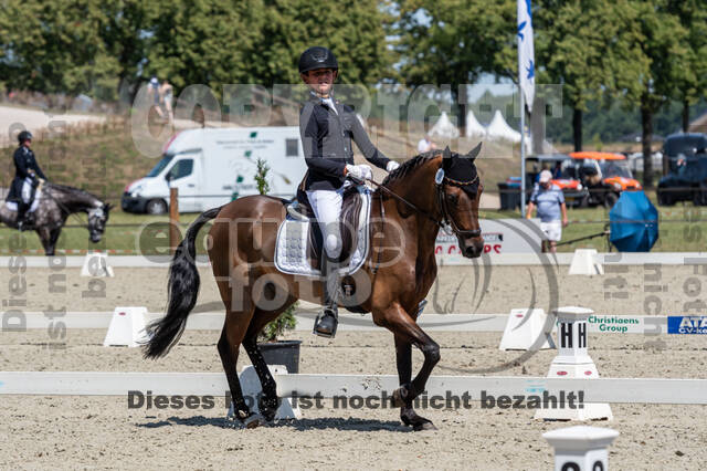 Kronenberg - De Peelbergen (August 2020)