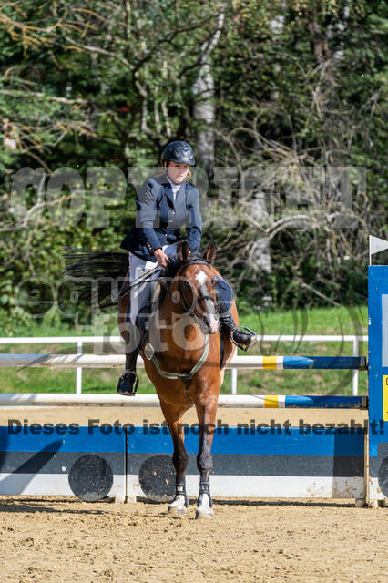 RFV Dinslaken-Hiesfeld (Herbstturnier)