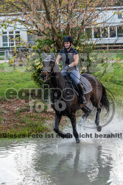 IGV Lehrgang der Sieger der Cups mit Frank Ostholt