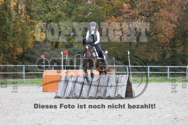 IGV Lehrgang der Sieger der Cups mit Frank Ostholt