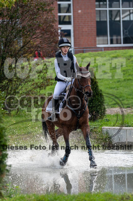 Goldene Schärpe 2020 - Pferde