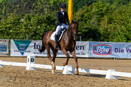 Westerstede Horse Trials 2021