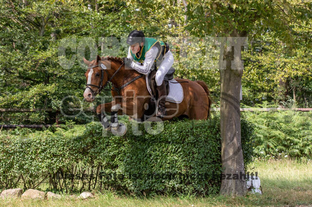 Late-Entry-Vielseitigkeit Gahlen (18.07.2020)