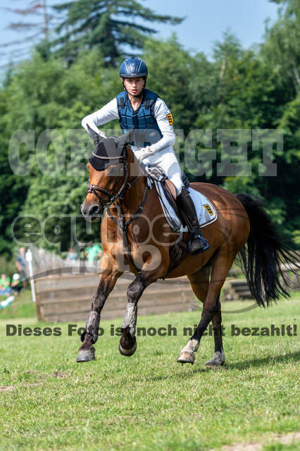 Goldene Schärpe 2021 - Ponys