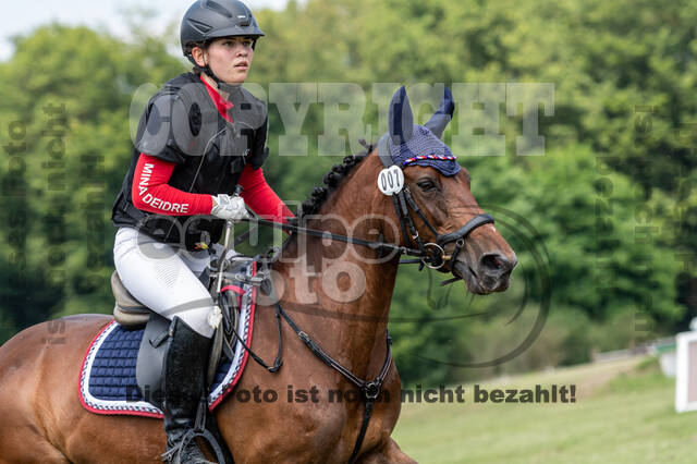 Goldene Schärpe 2021 - Ponys