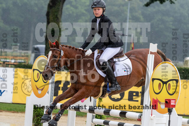 Goldene Schärpe 2021 - Ponys