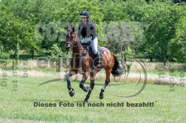 Bonn-Rodderberg Late-Entry-Vielseitigkeit (30.06.2020)