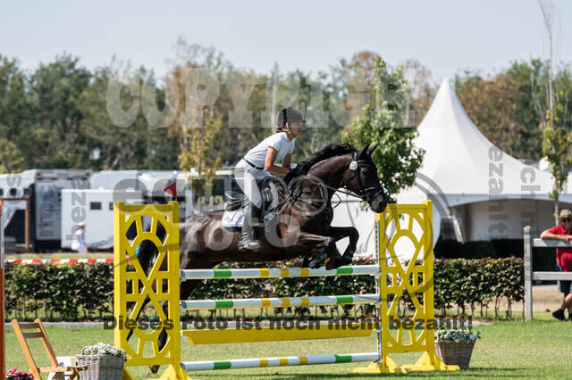 Kronenberg - De Peelbergen (August 2020)