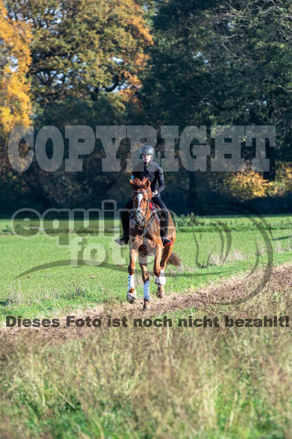 Vielseitigkeitslehrgang mit Jürg Kurbel (9.+10.11.2019)