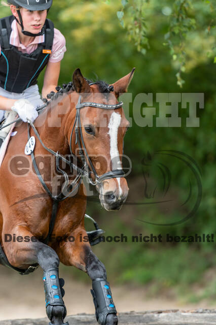 Late-Entry-Vielseitigkeit Langenfeld (06.+07.07.2020)