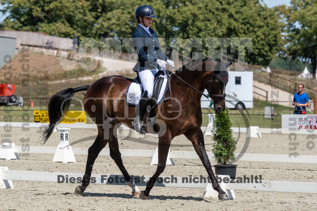 Kronenberg - De Peelbergen (August 2020)