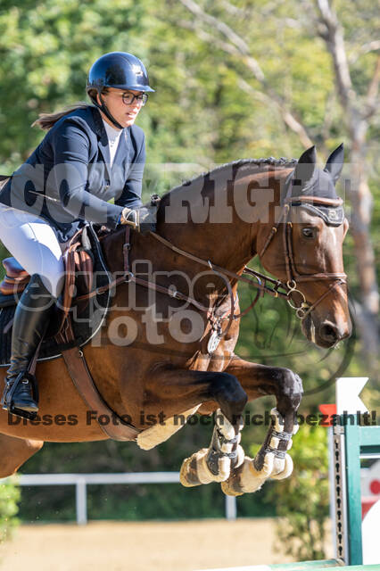 RFV Dinslaken-Hiesfeld (Herbstturnier)