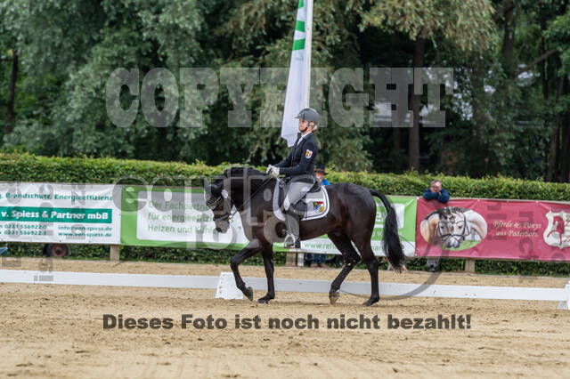 Goldene Schärpe 2021 - Ponys