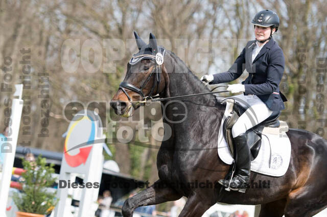 Frühjahrsvielseitigkeit RV Seydlitz Kamp