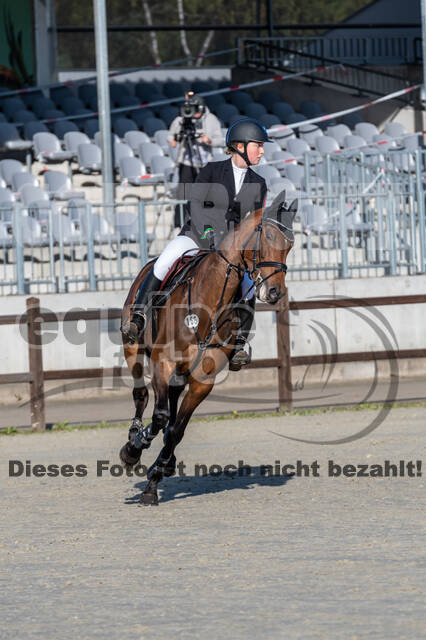 Deutsche Meisterschaft Vielseitigkeit (Luhmühlen)