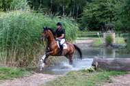 Late-Entry Vielseitigkeit Hamminkeln/Wesel (01.+02.08.2020)