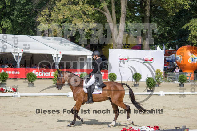 FEI European Championship Eventing 2017