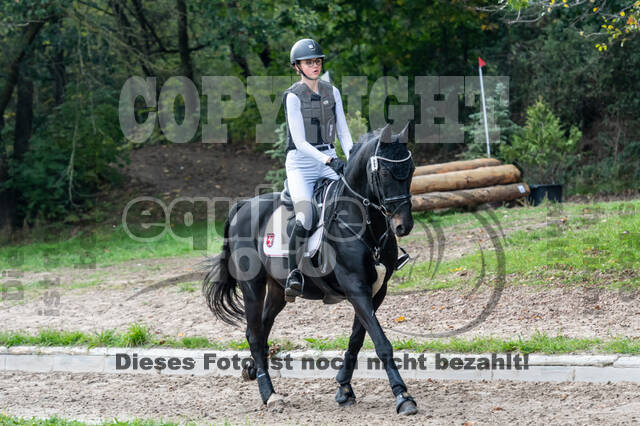 Goldene Schärpe 2020 - Pferde