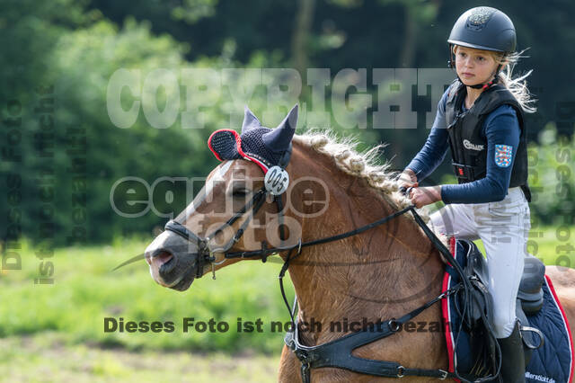 Goldene Schärpe 2021 - Ponys