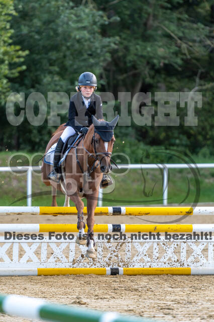 RFV Dinslaken-Hiesfeld (Herbstturnier)