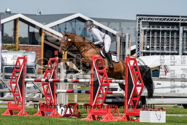 Kronenberg - De Peelbergen (August 2020)