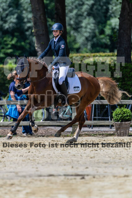 Goldene Schärpe 2021 - Ponys