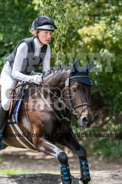 Late-Entry-Vielseitigkeit Langenfeld (06.+07.07.2020)