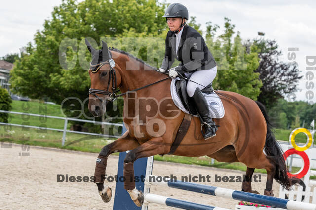 Late-Entry-Vielseitigkeit Langenfeld (06.+07.07.2020)