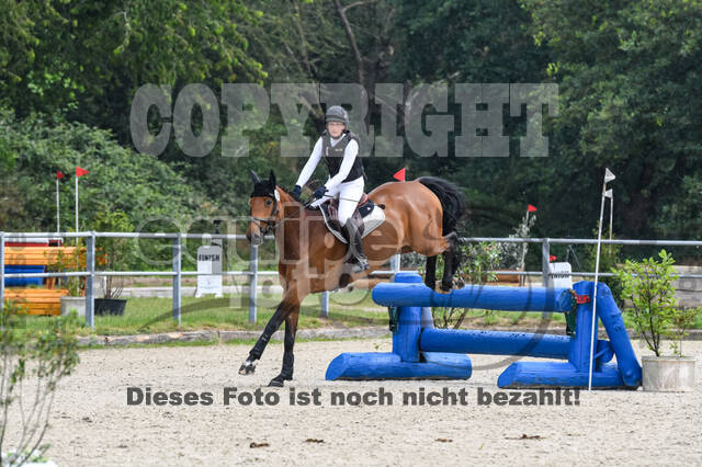 Late-Entry-Vielseitigkeit Langenfeld (11.+13./14.06.2020)