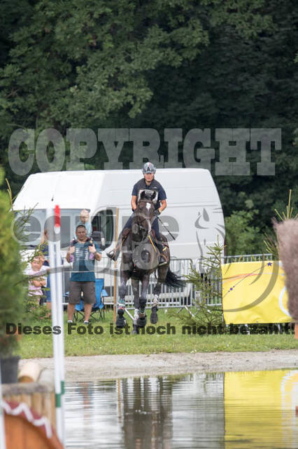 FEI European Championship