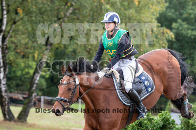 Vielseitigkeit RSV Wesel Obrighoven (26.+27.09.2020)