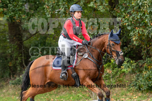 Goldene Schärpe 2020 - Pferde