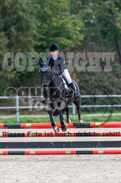 Reiter Schleswig-Holstein