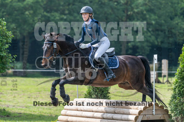 Goldene Schärpe 2021 - Ponys