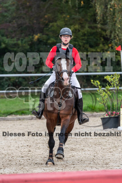 Goldene Schärpe 2020 - Pferde