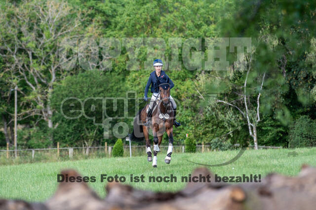 Bonn-Rodderberg Late-Entry-Vielseitigkeit (30.06.2020)