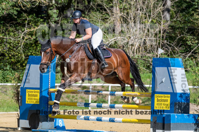 RFV Dinslaken-Hiesfeld (Herbstturnier)