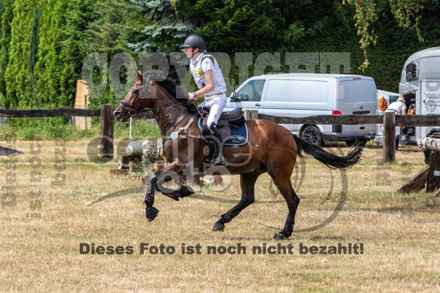 Late-Entry Vielseitigkeit Hamminkeln/Wesel (01.+02.08.2020)