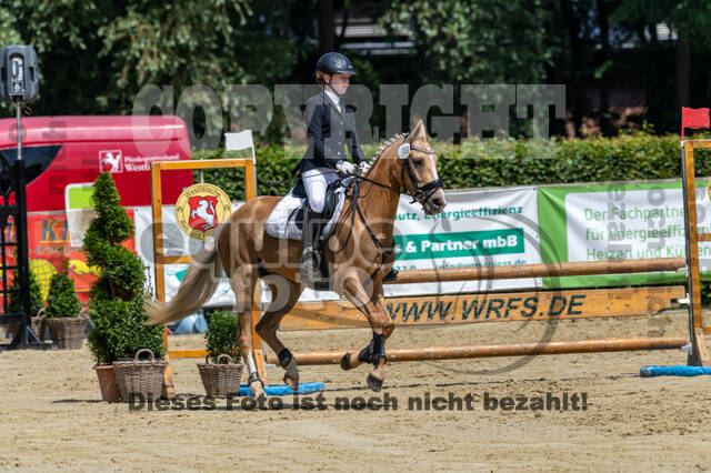 Goldene Schärpe 2021 - Ponys