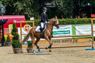 Goldene Schärpe 2021 - Ponys