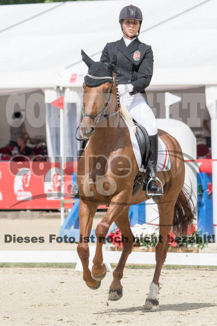 FEI European Championship Eventing 2017