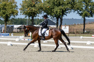 Kronenberg - De Peelbergen (August 2020)