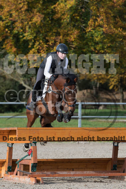 IGV Lehrgang der Sieger der Cups mit Frank Ostholt
