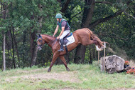 Late-Entry Vielseitigkeit Hamminkeln/Wesel (01.+02.08.2020)