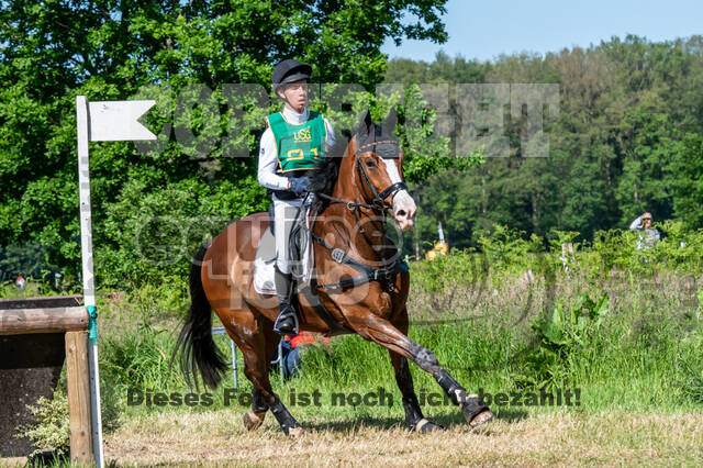 Westerstede Horse Trials (10.-13.06.2021)